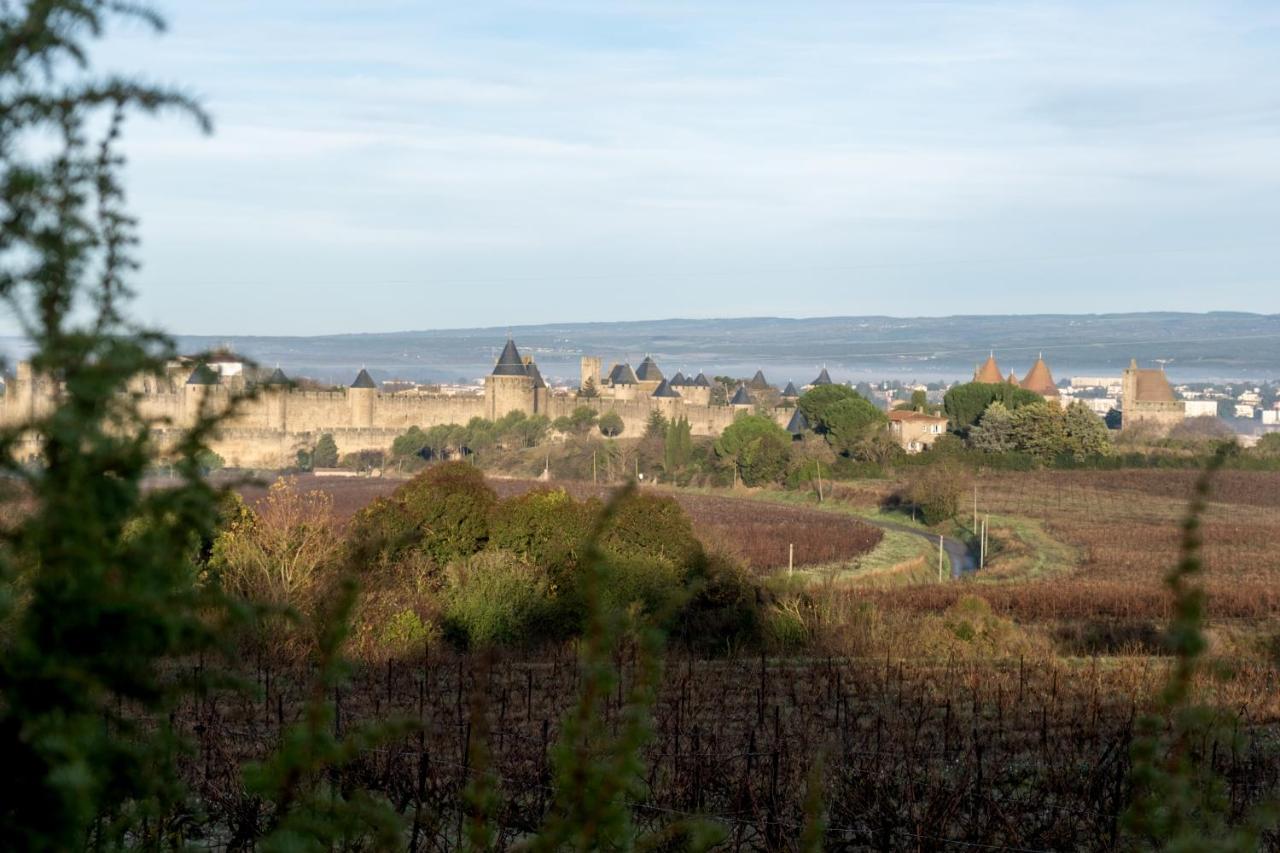 Villa Des Cathares Carcassonne Extérieur photo